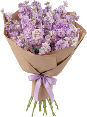 Букет «Вечерний сад» из нежной сиреневой маттиолы