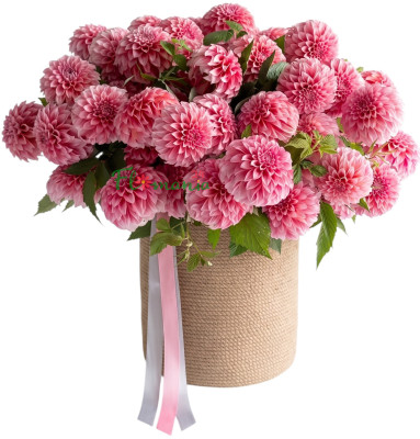 Композиция из розовых георгин «Гармония лета»